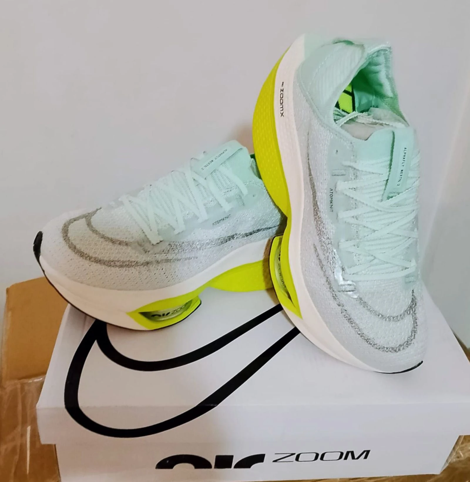 Nike zoom alphafly